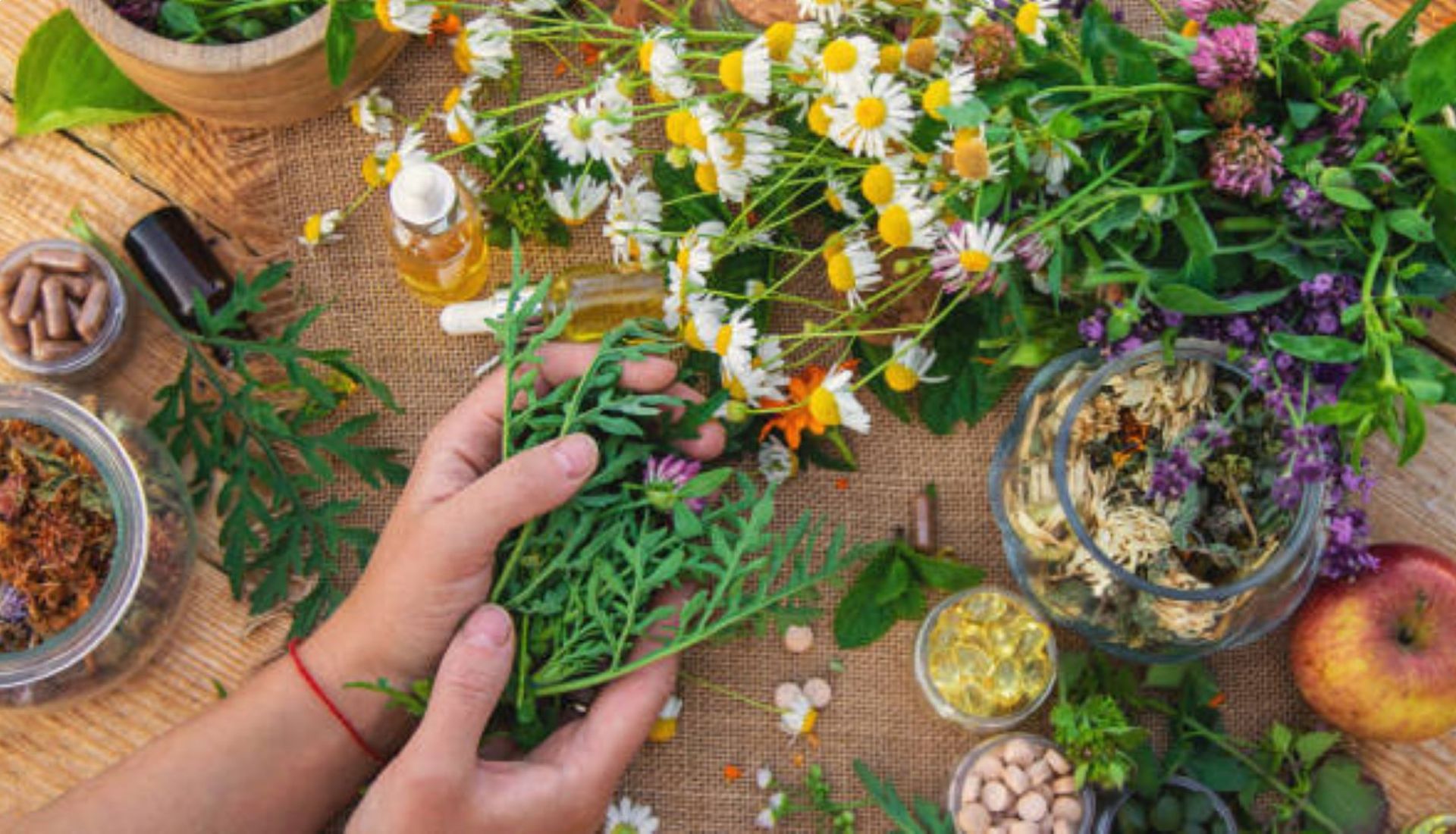 Amélioration de son bien-être grâce à la nutrition et aux plantes médicinales