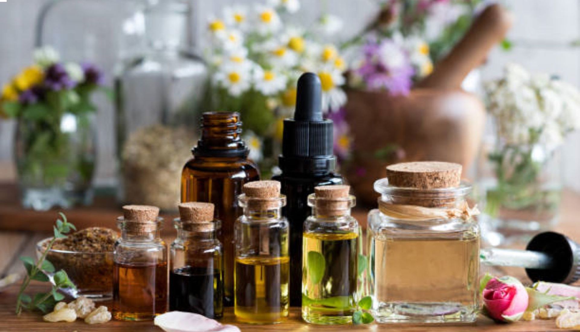 CONFERENCE  SUR LA NATUROPATHIE